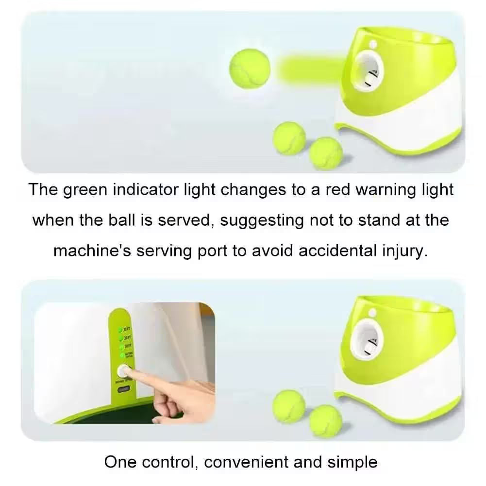 Automatic Dog Ball Launcher